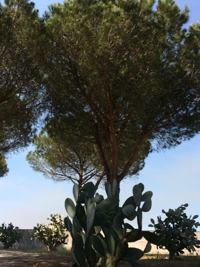B&B Villa 16 Pini Lecce Exterior photo